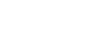 south africa accountants logo